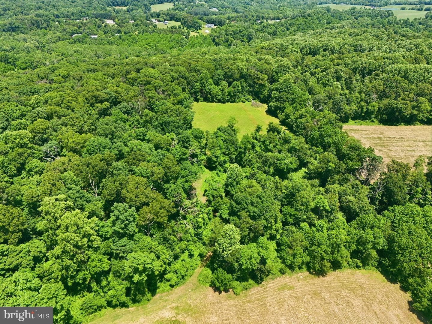3555 Mill Green Road photo 102
