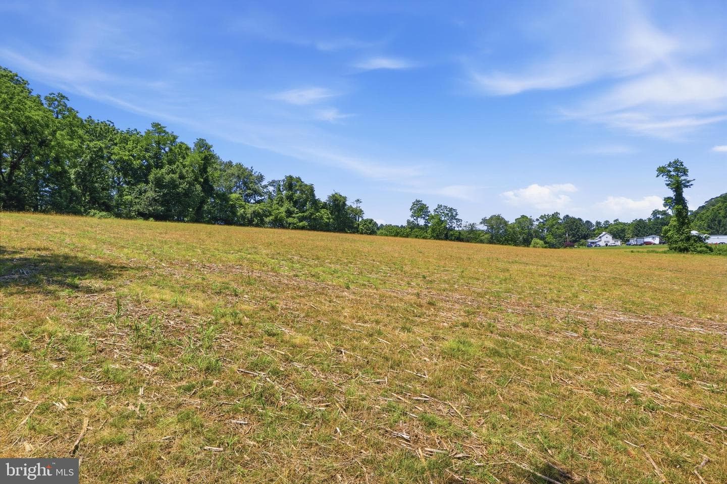3555 Mill Green Road photo 71