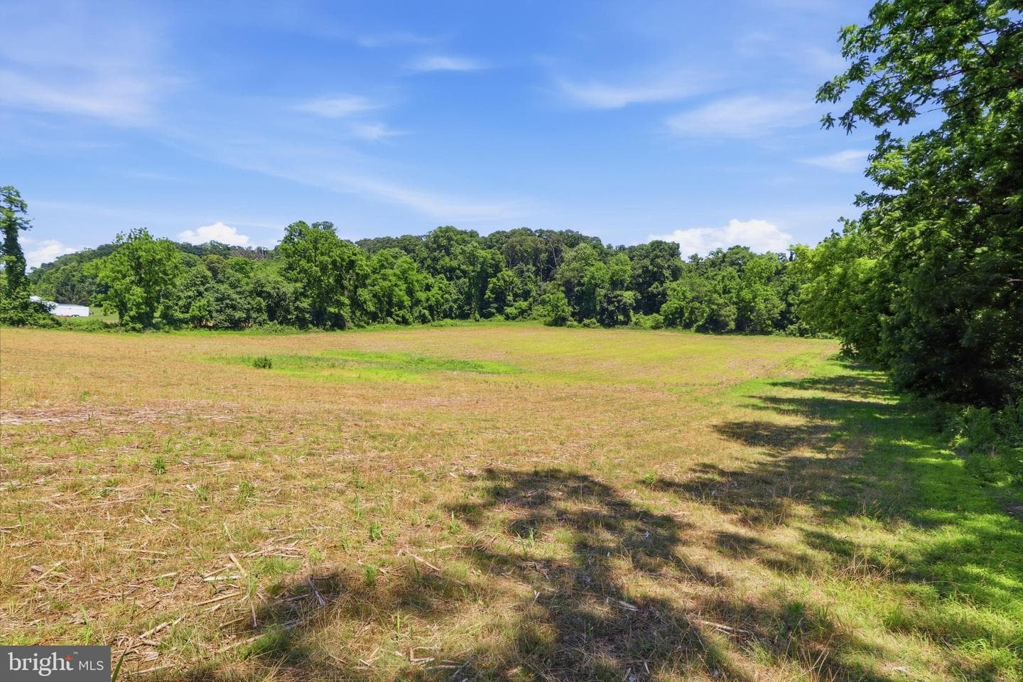 3555 Mill Green Road photo 72