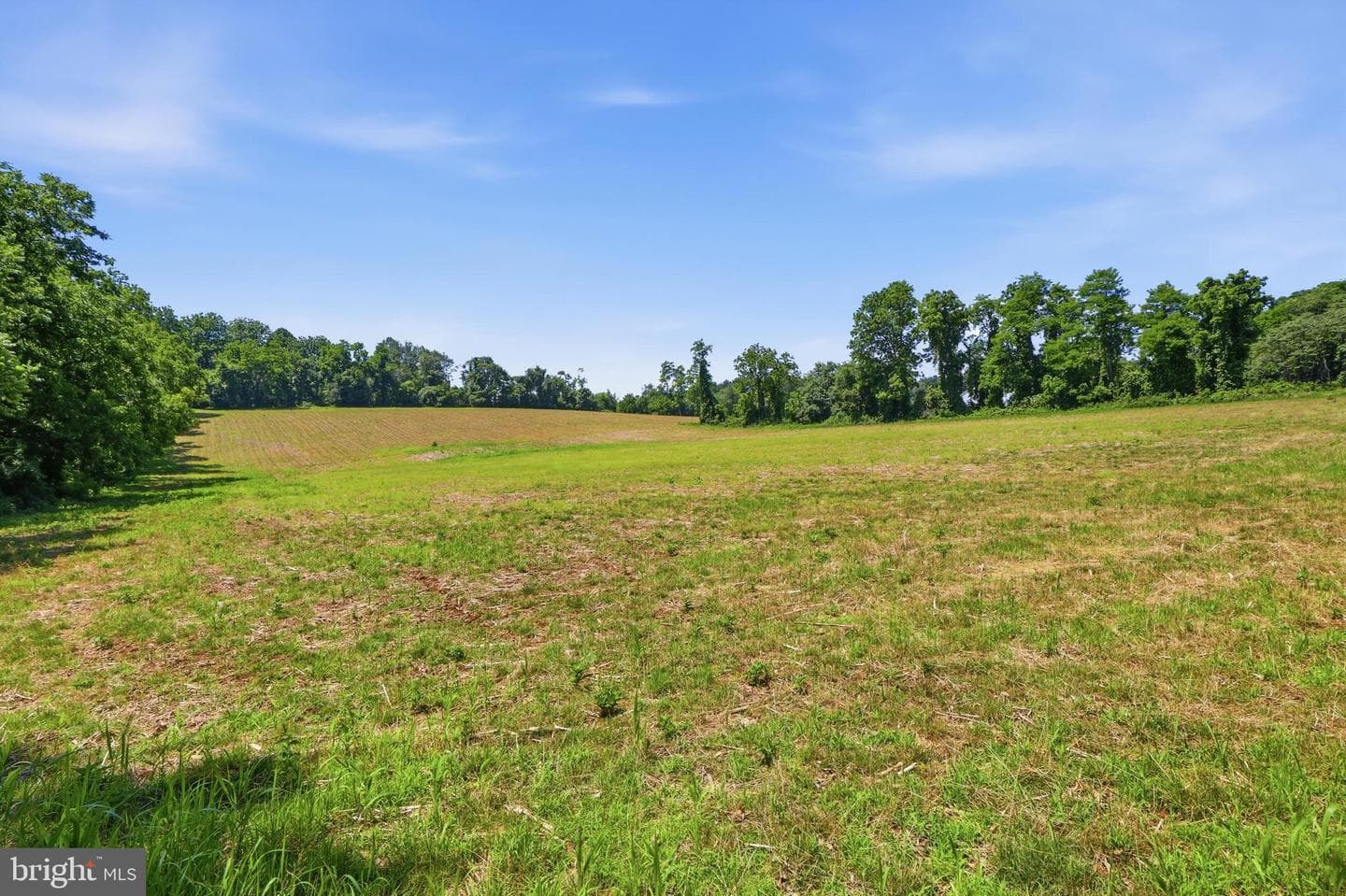 3555 Mill Green Road photo 73