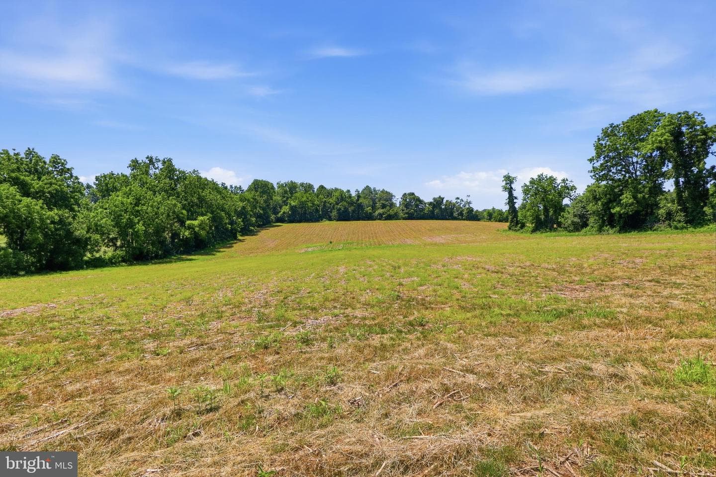 3555 Mill Green Road photo 74