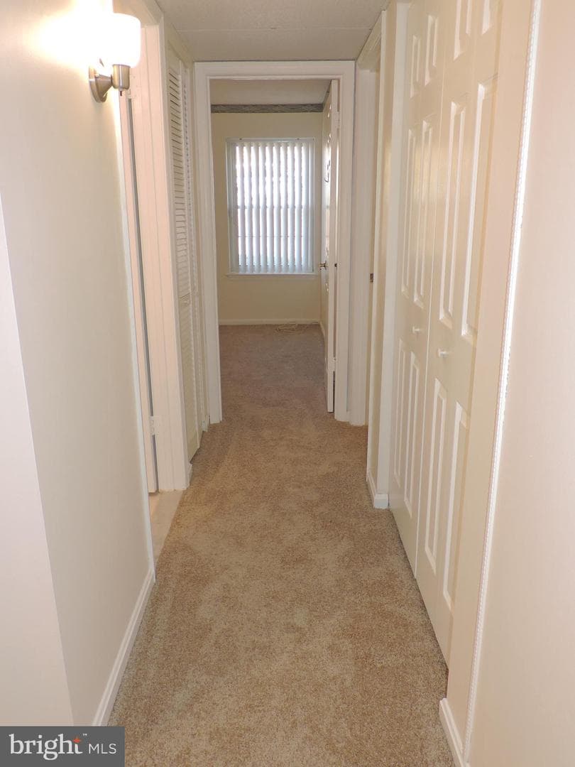 205 Star Pointe Court #1d photo 30