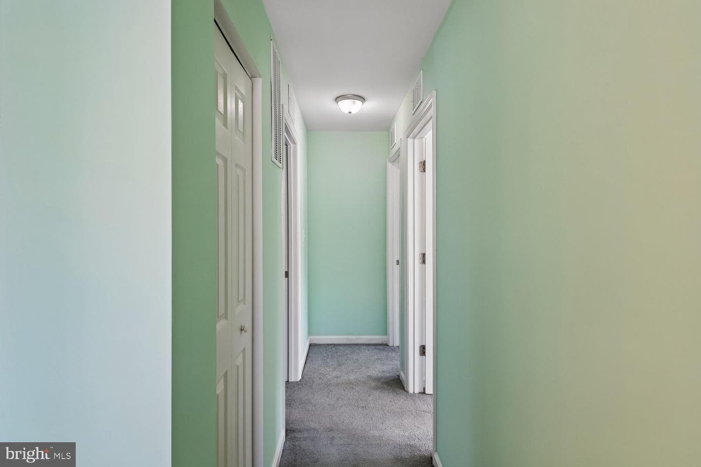 472 Winterberry Drive photo 23