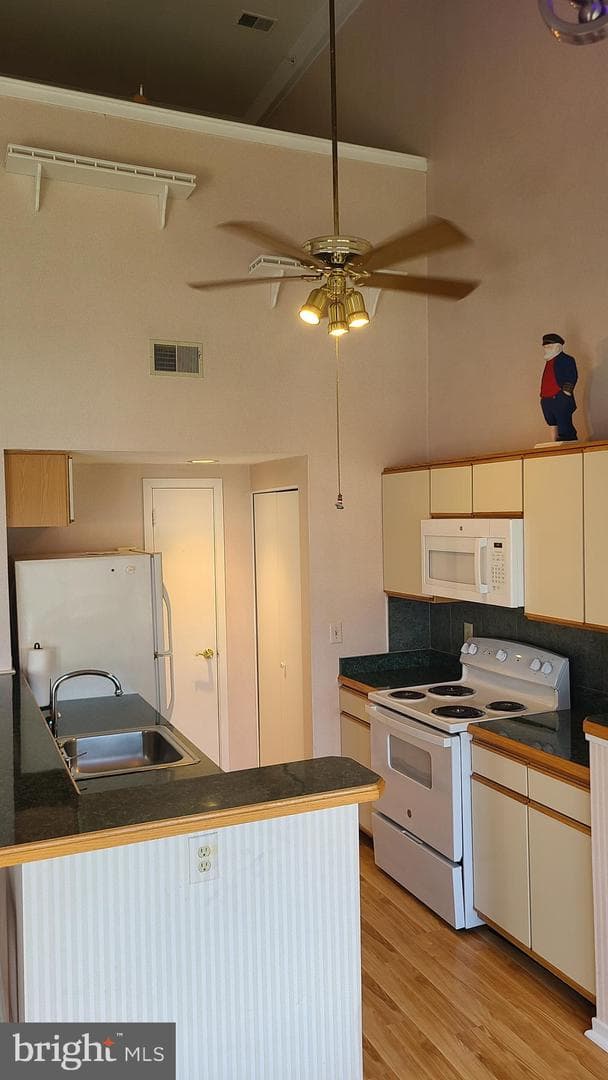 249 Fountain Street #249-D photo 10