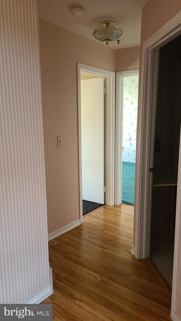 249 Fountain Street #249-D photo 15