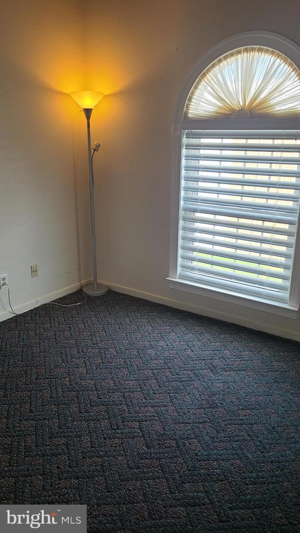249 Fountain Street #249-D photo 16