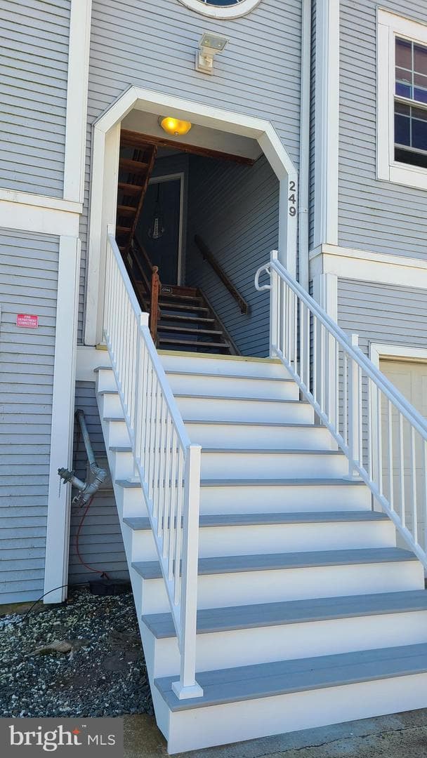 249 Fountain Street #249-D photo 29