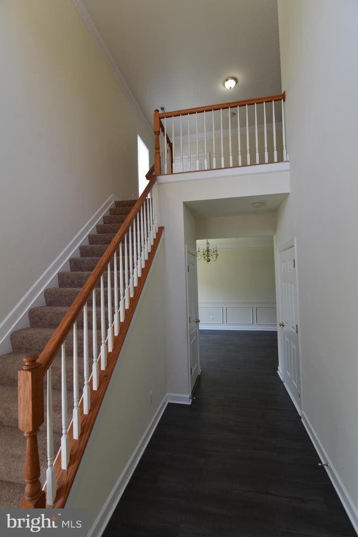 139 Hokeland Drive photo 19