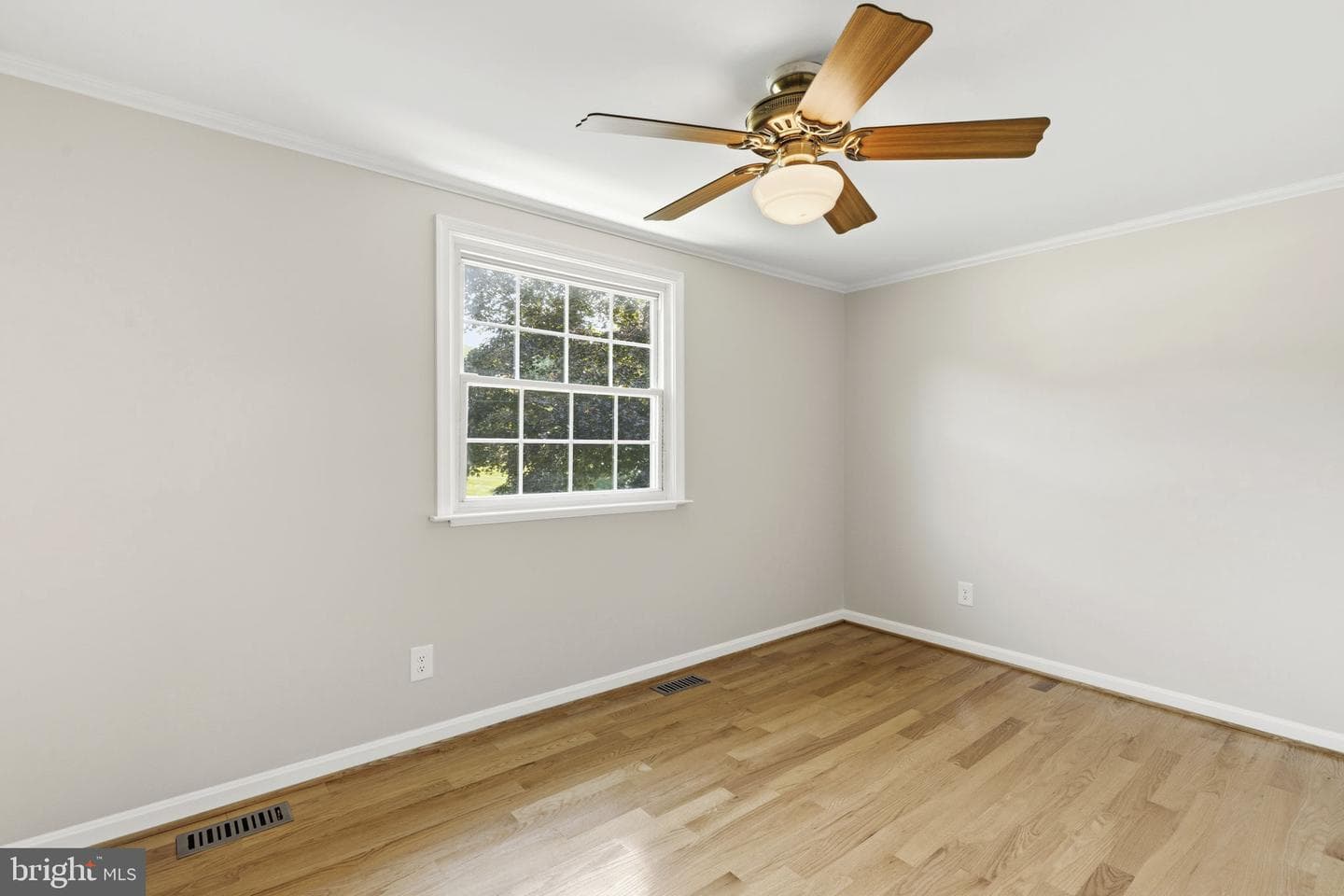 3906 Boxwood Road photo 22