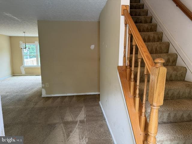 717 Clifton Terrace Drive photo 6