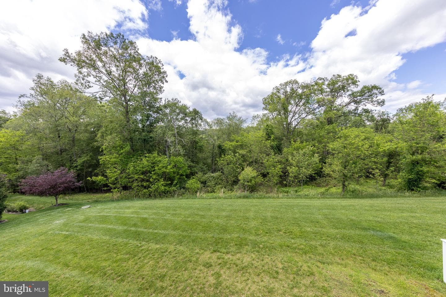 714 Shady Creek Court photo 13