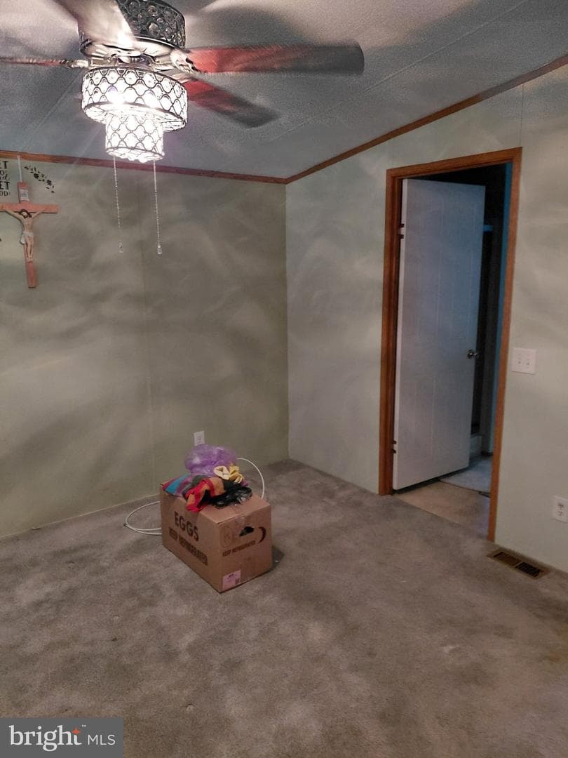 32 Mallard Way photo 15