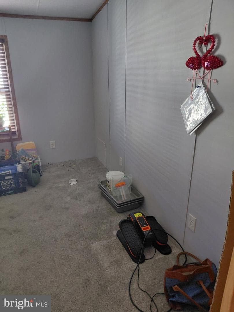 32 Mallard Way photo 20
