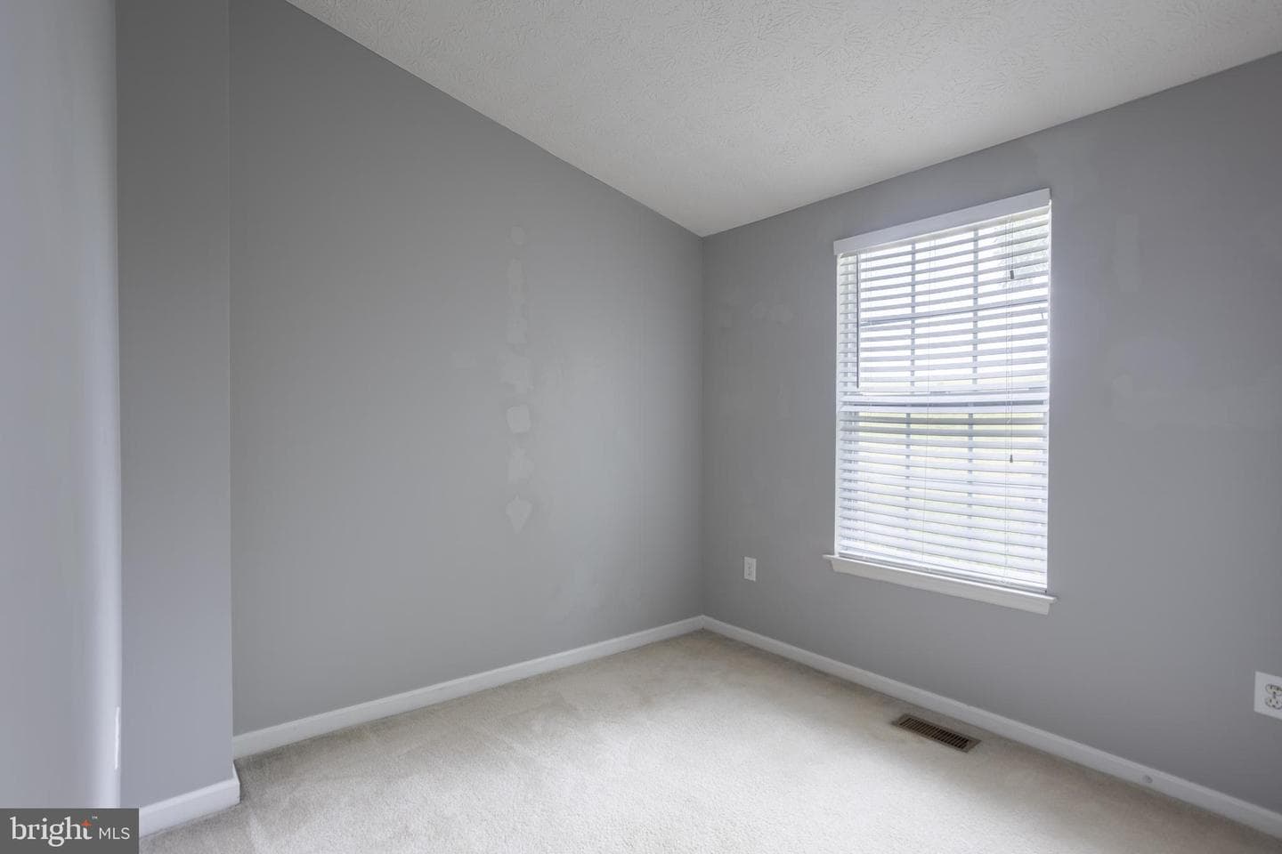 919 Jessicas Lane #15 photo 24