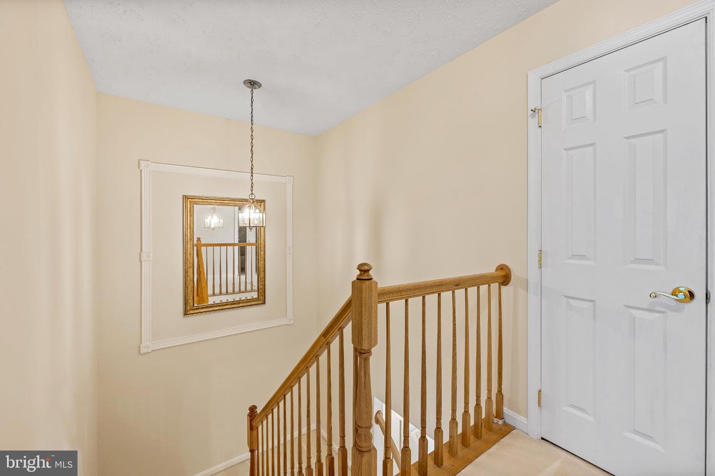 206 Colgate Drive photo 24
