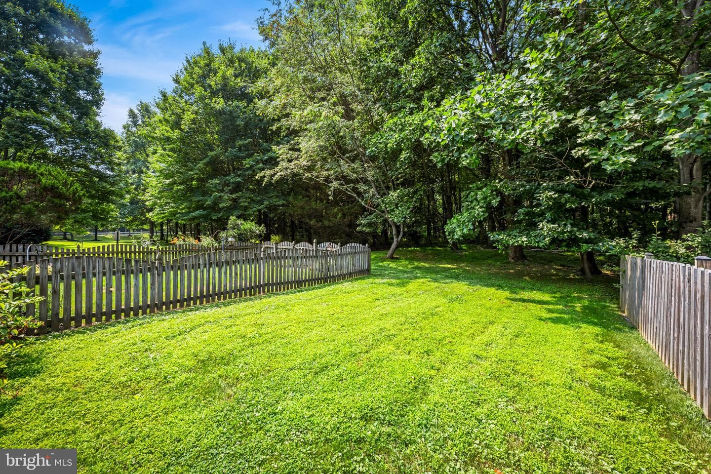 206 Colgate Drive photo 33