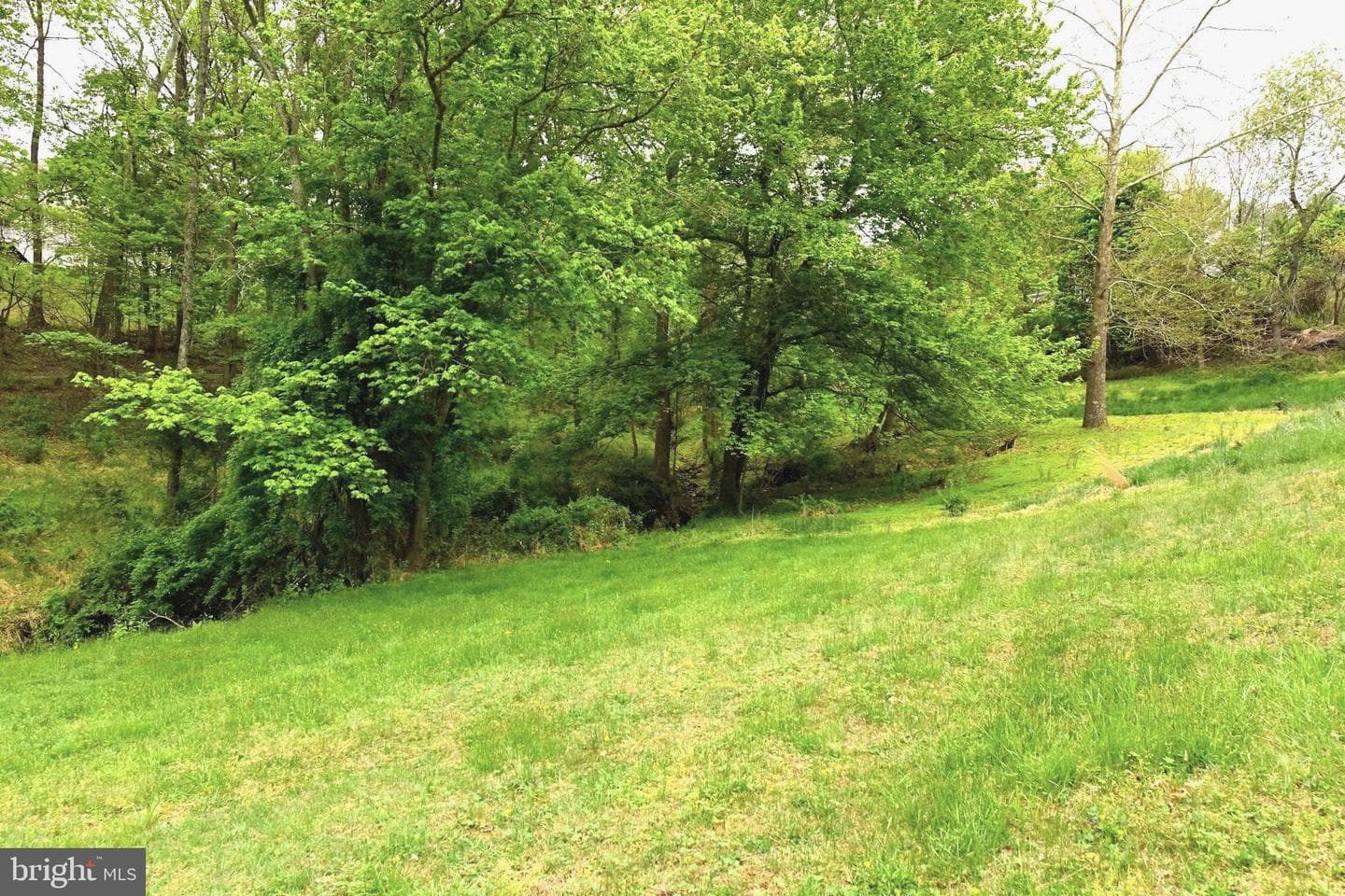 305 Rolling Knoll Drive photo 38