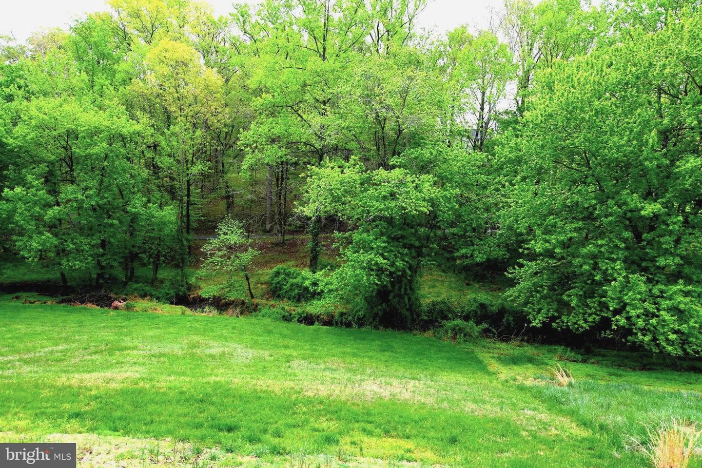 305 Rolling Knoll Drive photo 40