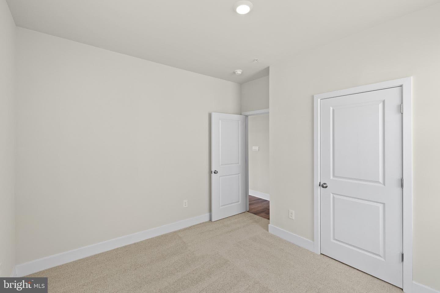 807 Spikeresh Way photo 21