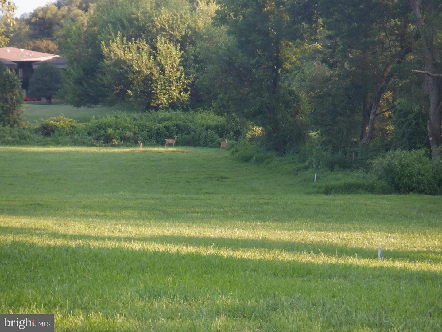 2934 Route 97 photo 10