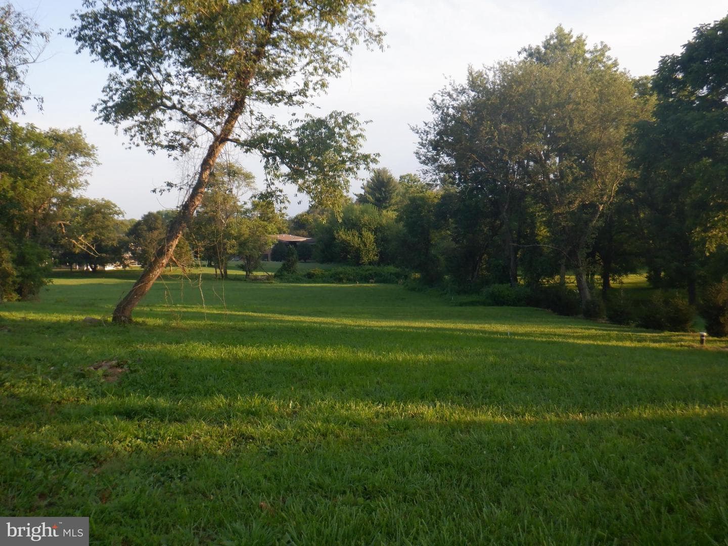 2934 Route 97 photo 11