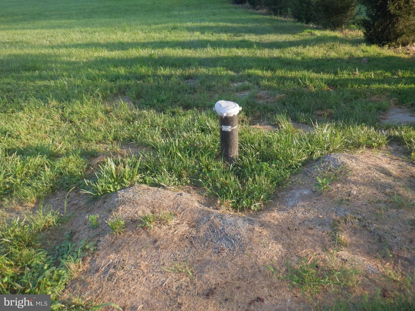 2934 Route 97 photo 9