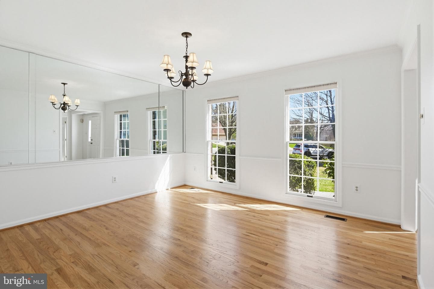 8307 Spring Blossom Court photo 11