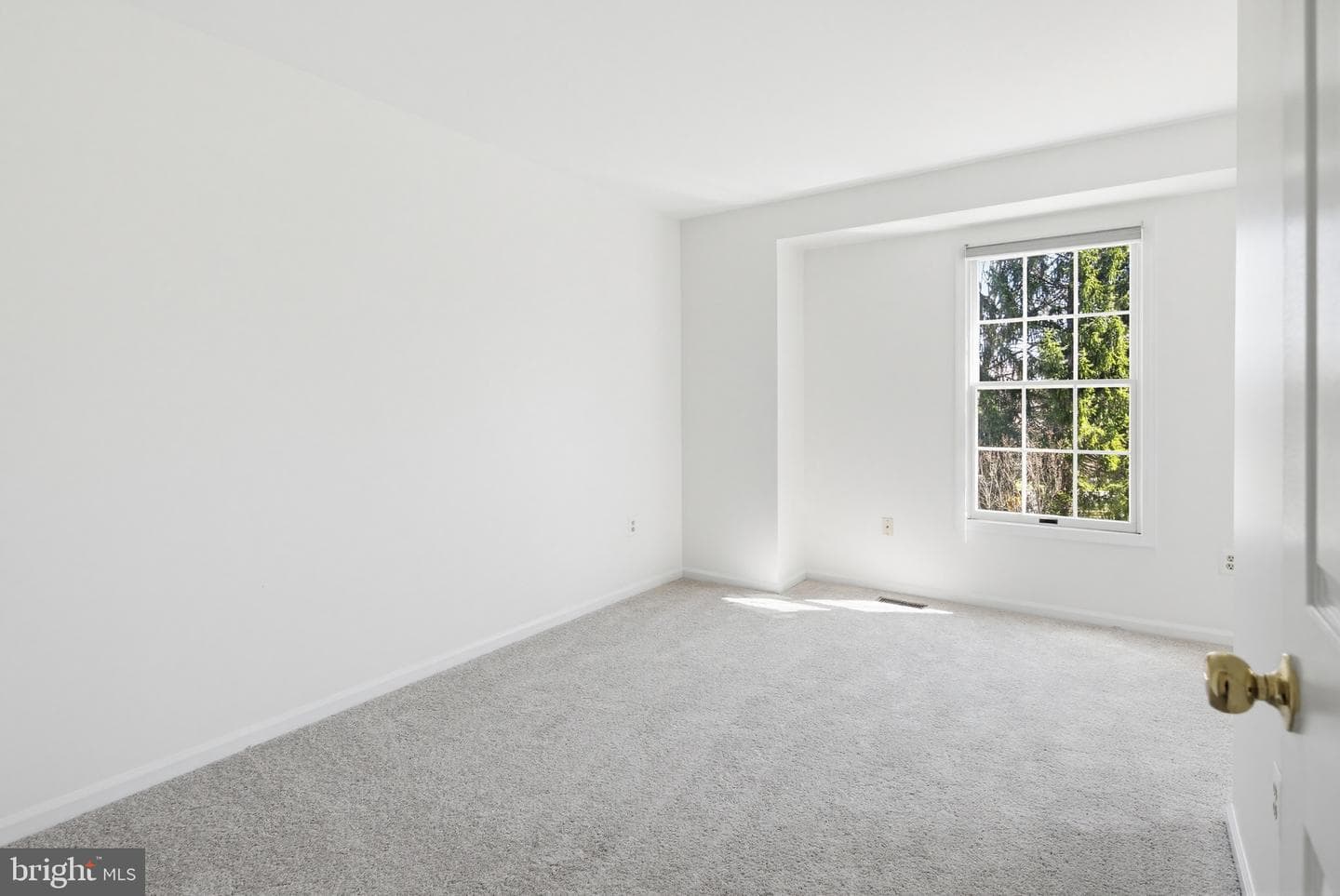 8307 Spring Blossom Court photo 38
