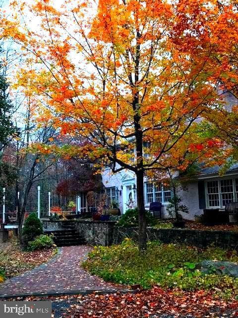 7244 Mink Hollow Road photo 99