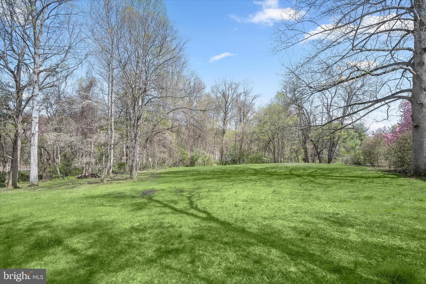 6735 Mink Hollow Road photo 51