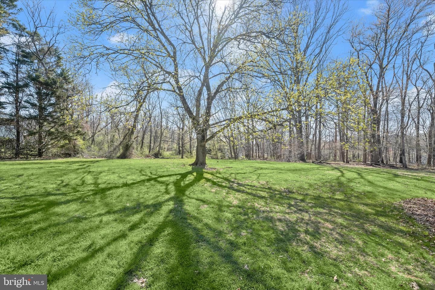14865 Bushy Park Road photo 33