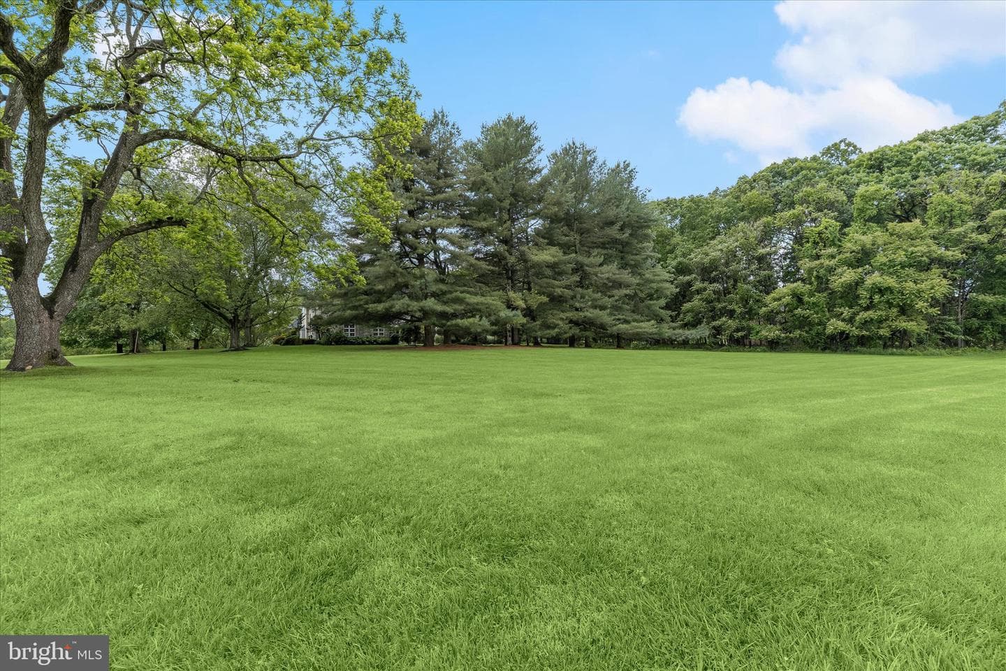 13304 Ridgewood Drive photo 77