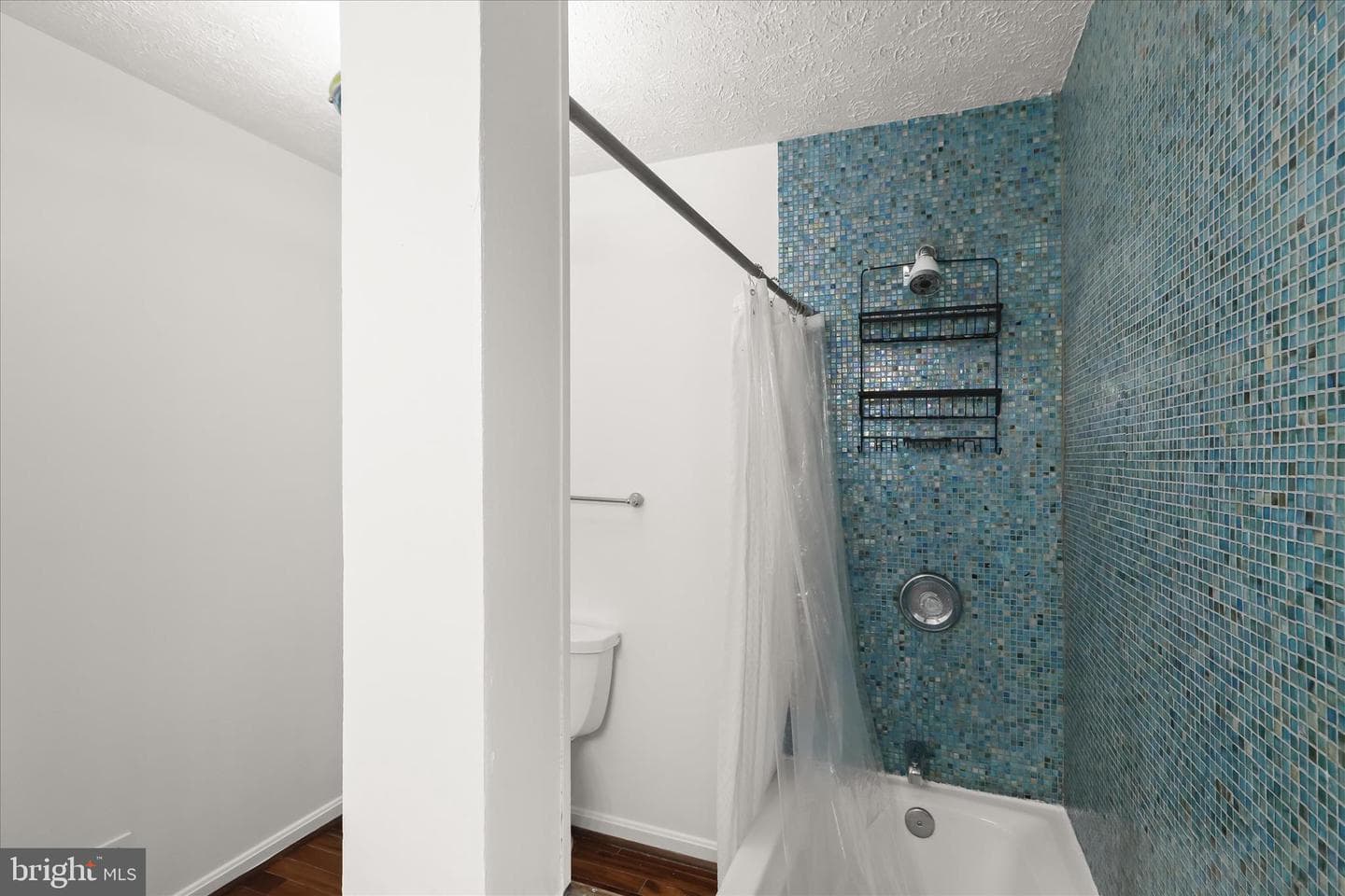 10895 Beech Creek Drive photo 43