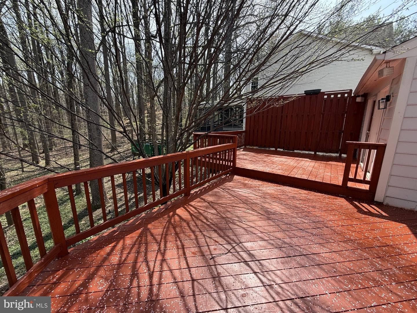 10895 Beech Creek Drive photo 63