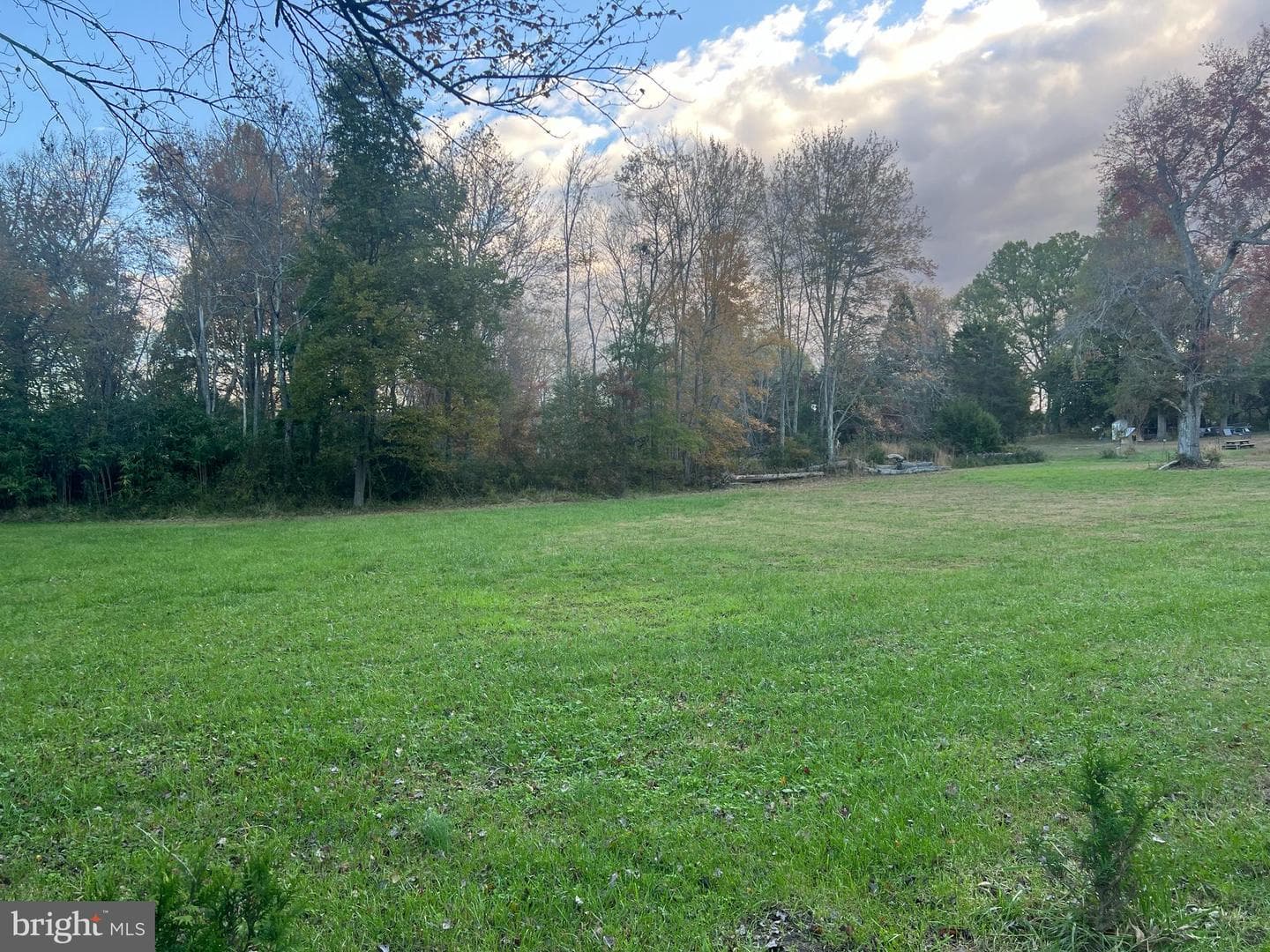 2935 Route 97 photo 37