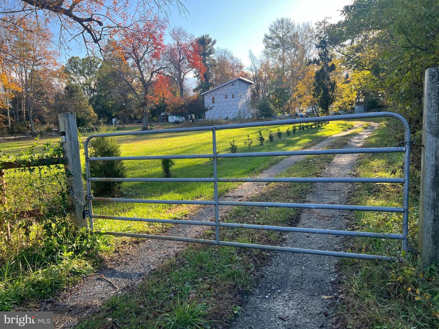 2935 Route 97 photo 4
