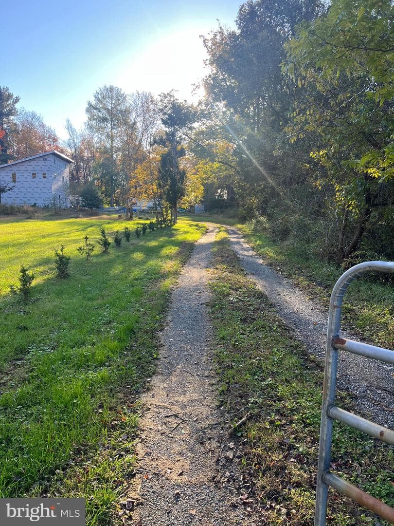2935 Route 97 photo 5
