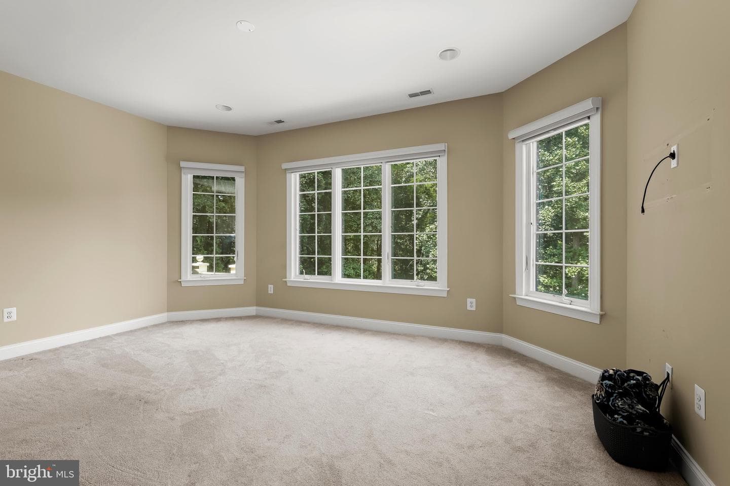 11616 Mirror Pond Court photo 64