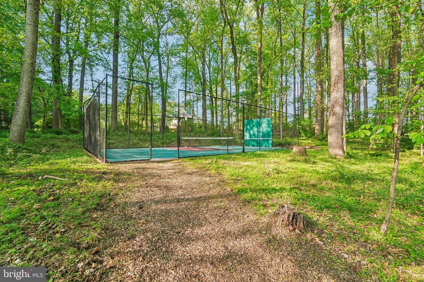 13798 Lakeside Drive photo 51