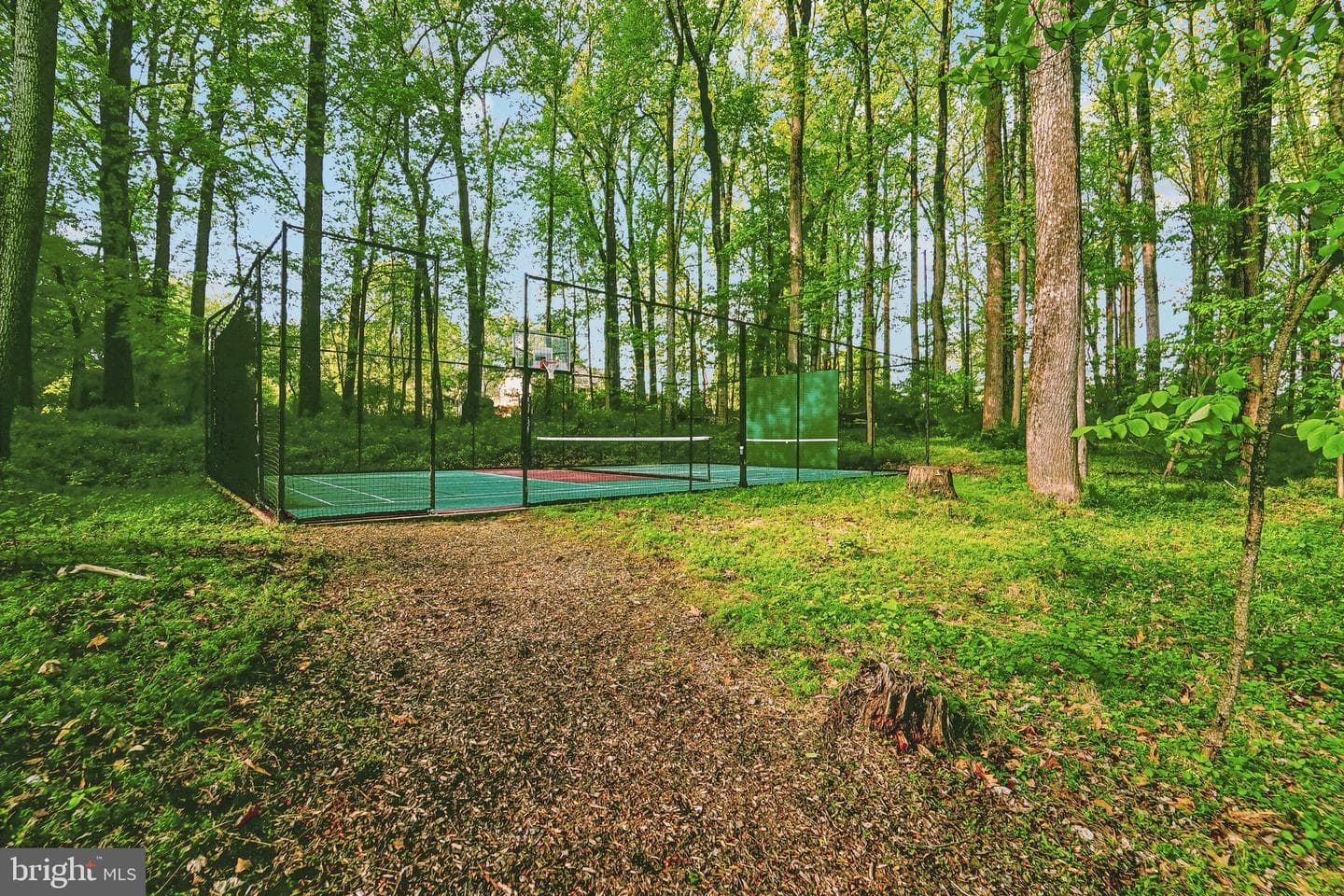 13798 Lakeside Drive photo 52