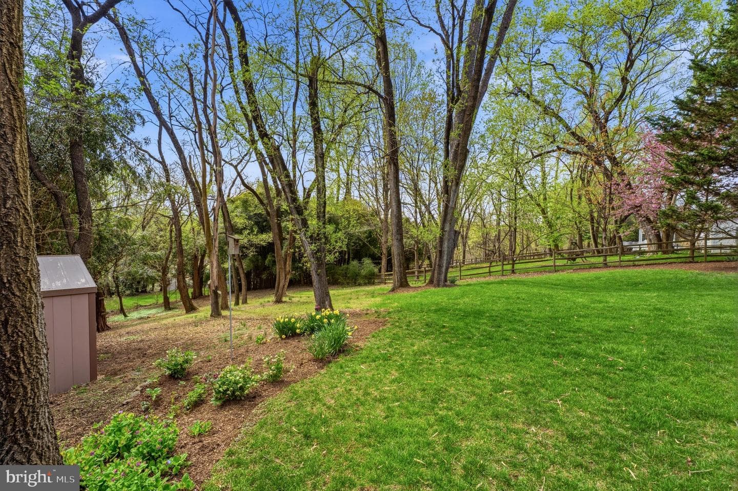 3831 Parrot Drive photo 65