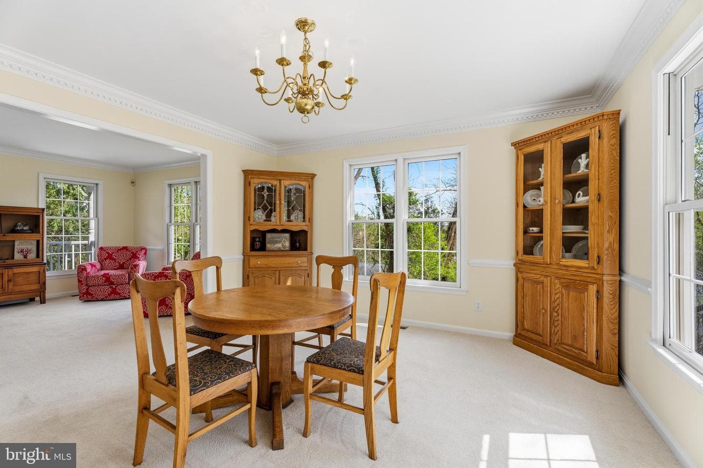 3831 Parrot Drive photo 9