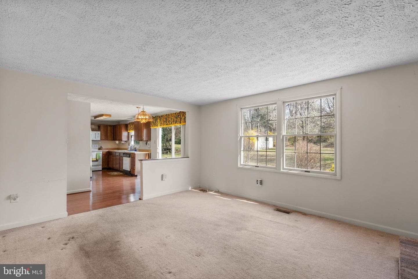 8745 Cardinal Forest Circle photo 13