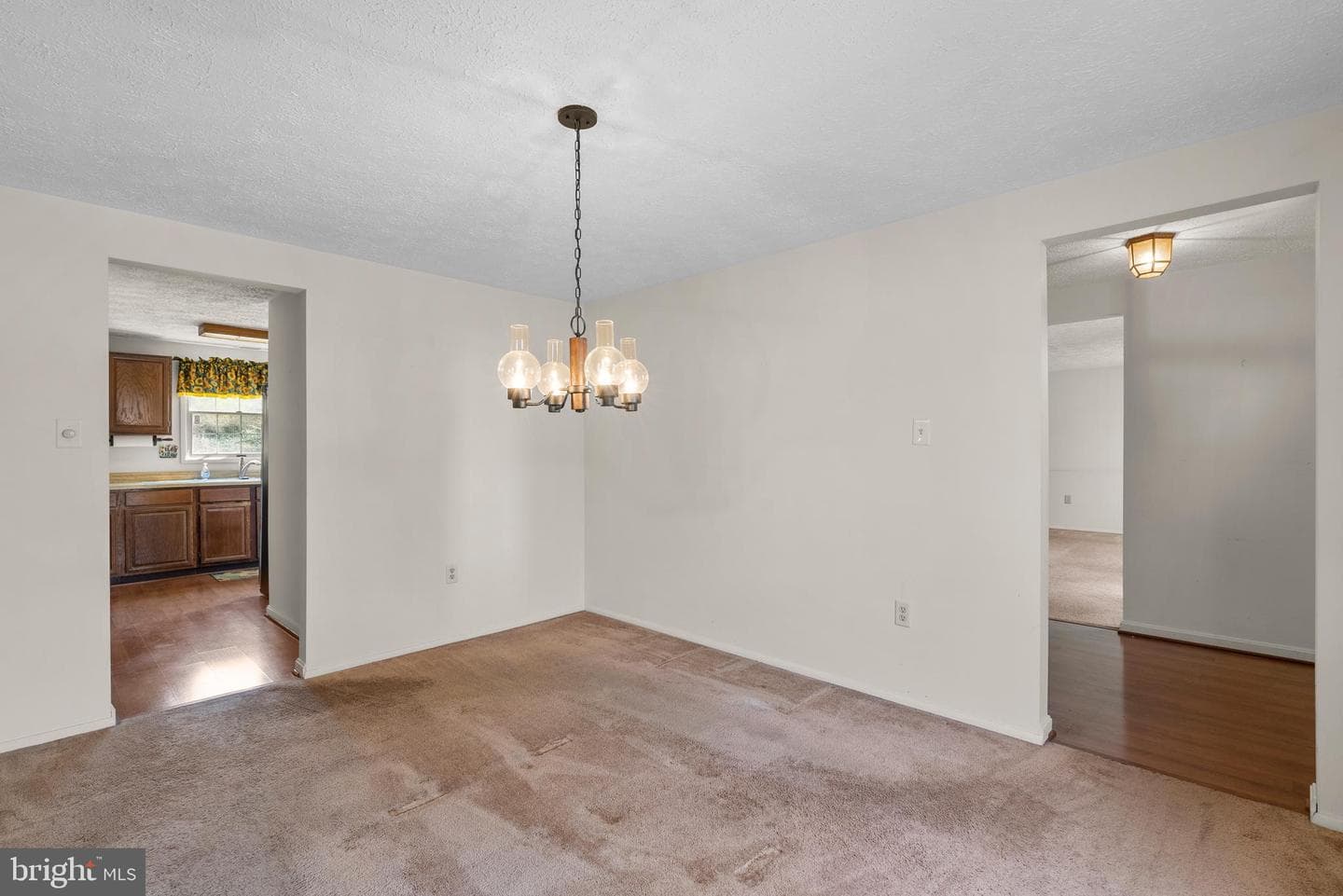 8745 Cardinal Forest Circle photo 18