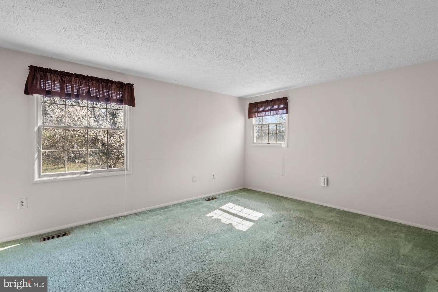 8745 Cardinal Forest Circle photo 28
