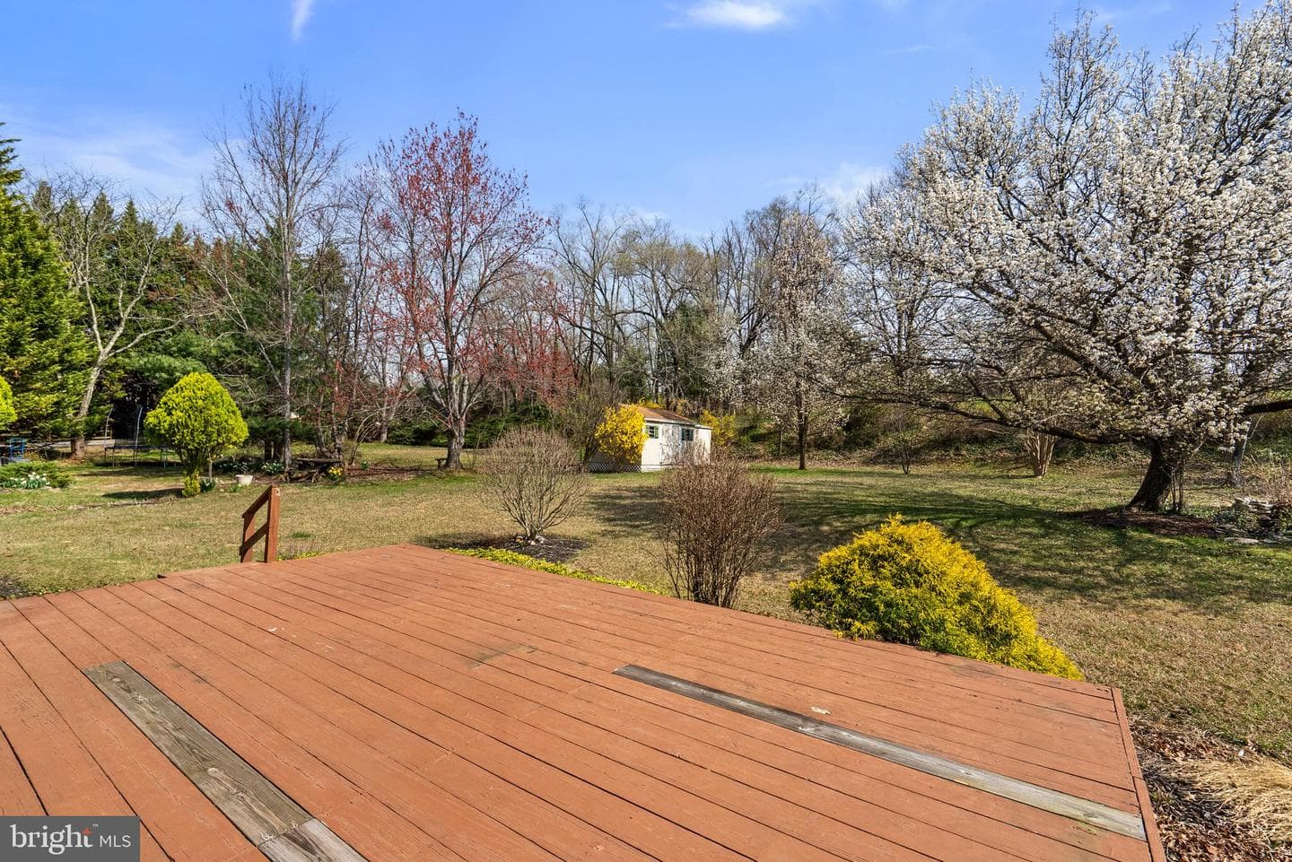8745 Cardinal Forest Circle photo 37