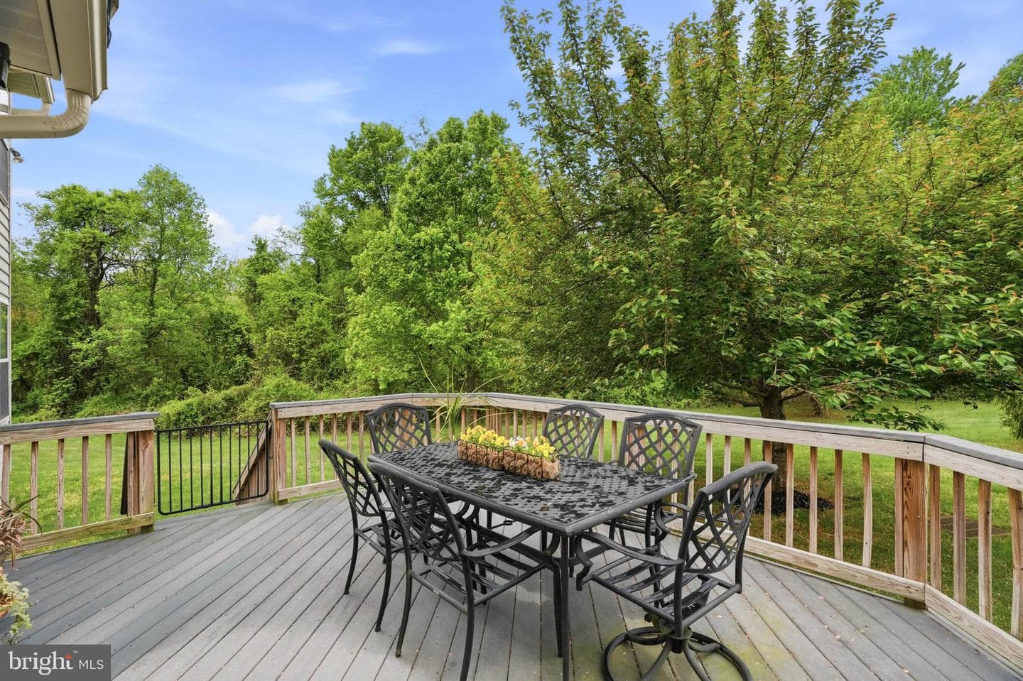 6409 Koffel Court #21 photo 37