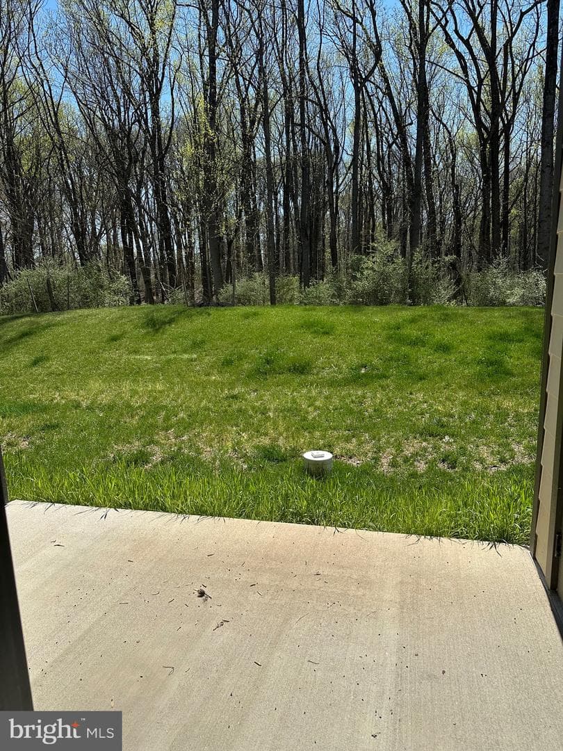 10391 Resort Road #v photo 23