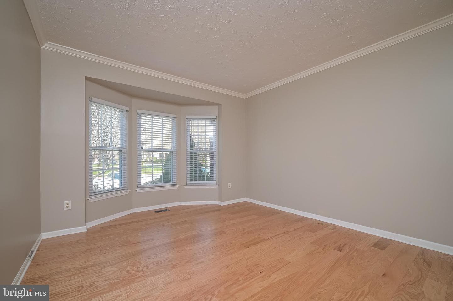 4527 Kingscup Court photo 5