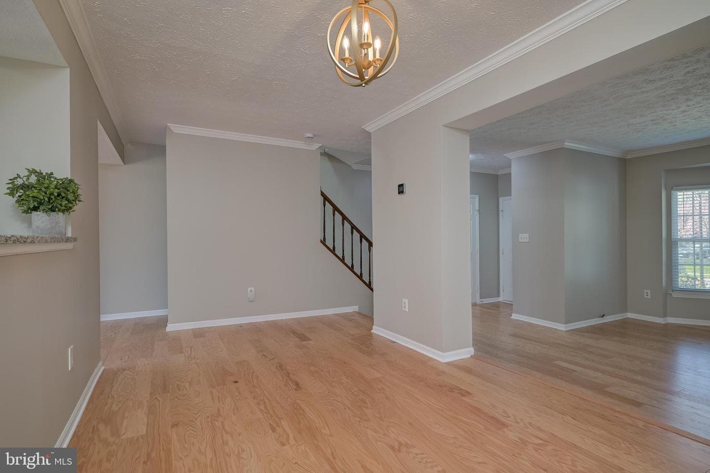 4527 Kingscup Court photo 8